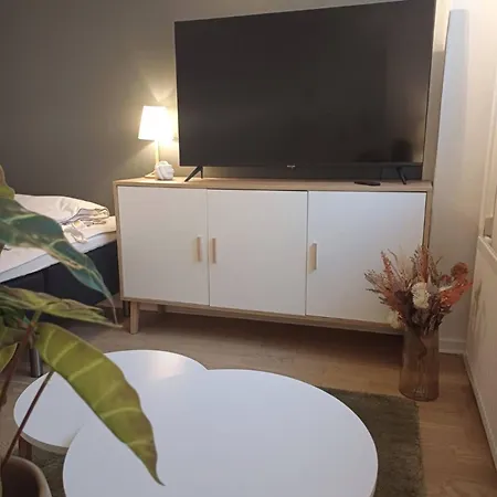 Elegant In Apartamento Ålborg
