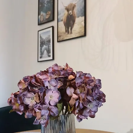 Elegant In