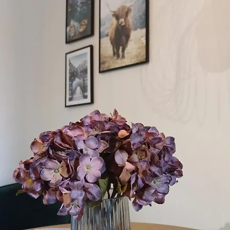 Apartment Elegant In